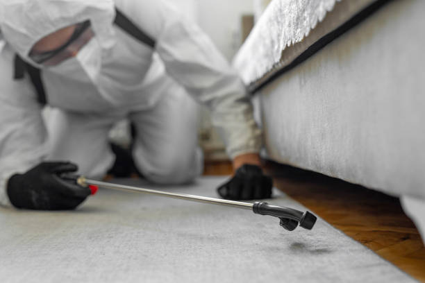 Professional Termite Control technician working in Sandy, OR