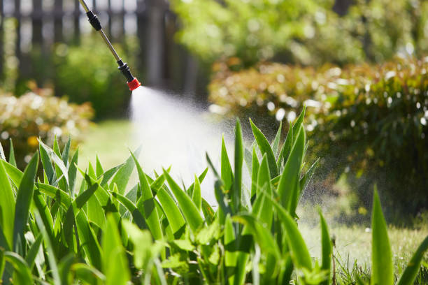 24/7 Emergency Termite Control experts in Sandy, OR