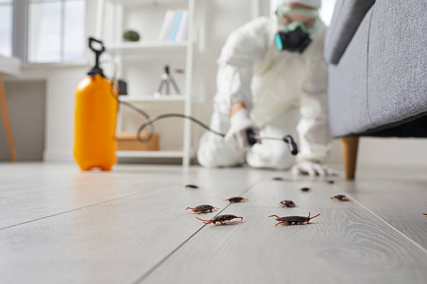 Affordable Termite Control solutions in Sandy, OR