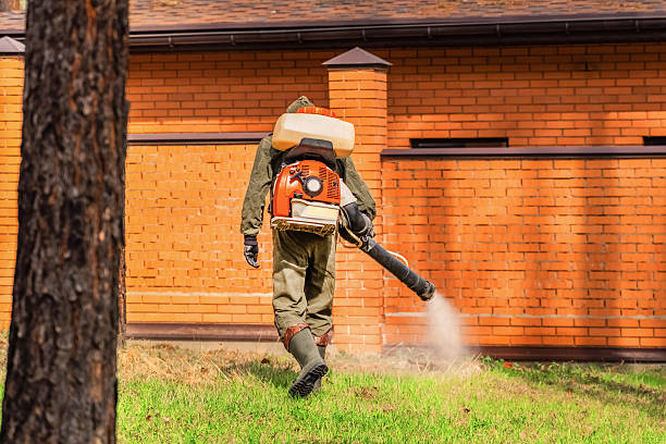 Top rated local Termite Control specialists in Sandy, OR